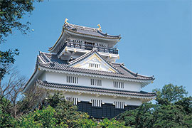 Gifu Castle